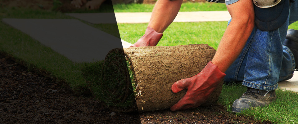 Yorktown Heights Landscapers